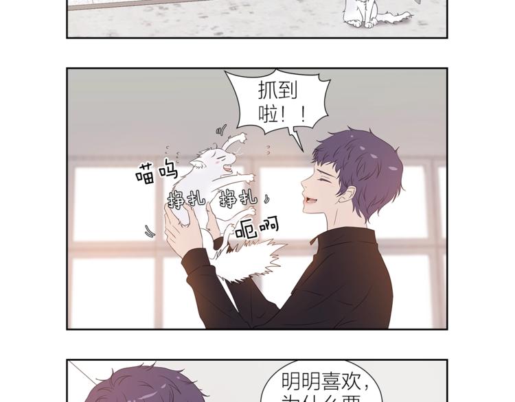 《即兴爵士》番外 变成喵了？ 第25页