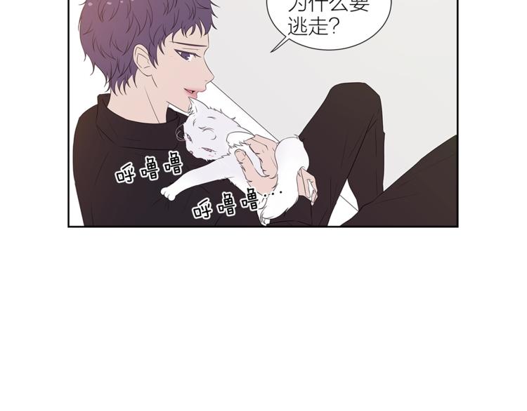 《即兴爵士》番外 变成喵了？ 第26页