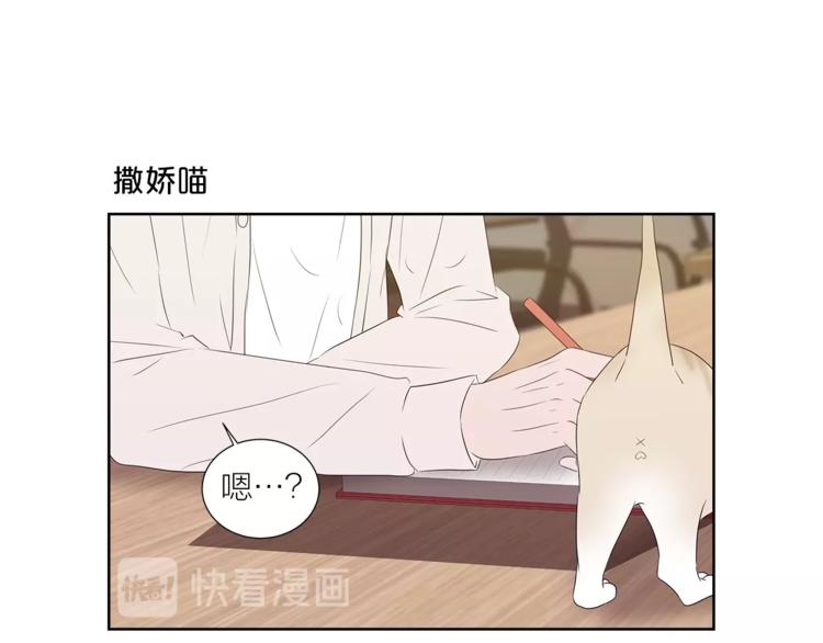《即兴爵士》番外 变成喵了？ 第27页