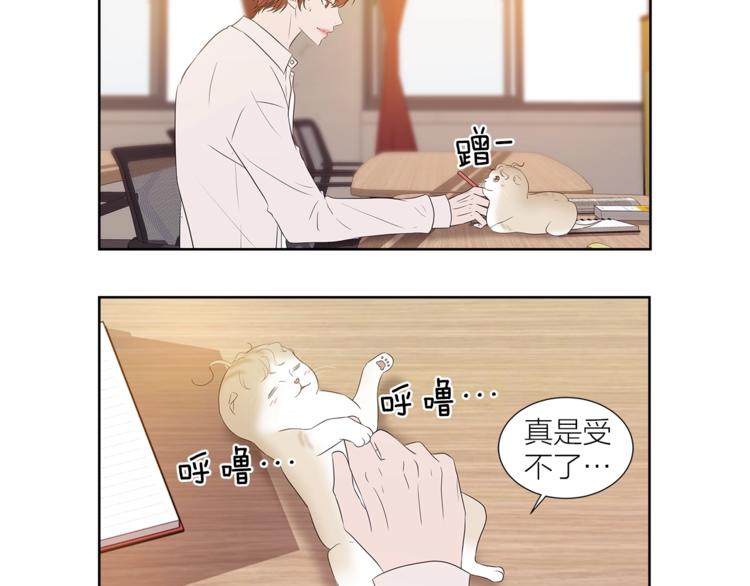 《即兴爵士》番外 变成喵了？ 第29页