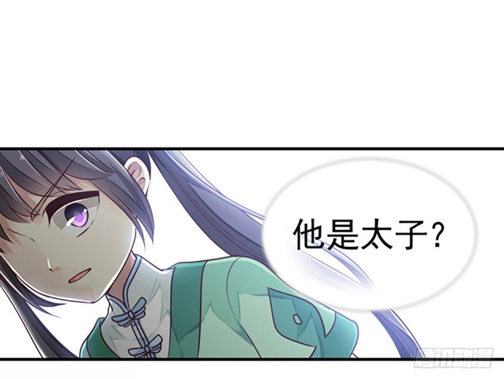 《我家太子妃超凶的》第二回 他是莲太子 第27页