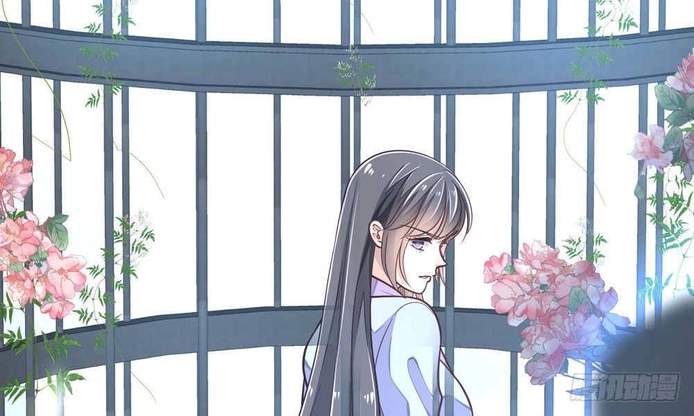 《我家太子妃超凶的》第二十七回 水灵 第48页