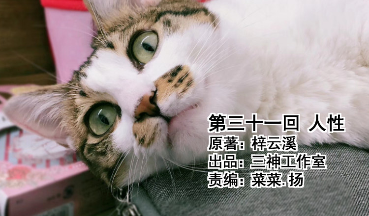 《我家太子妃超凶的》第三十一回 人性 第1页