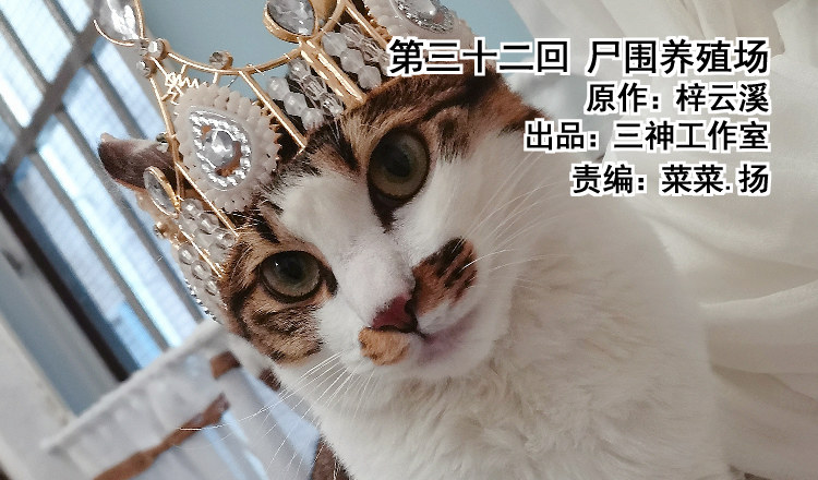 《我家太子妃超凶的》第三十二回 尸围养殖场 第1页