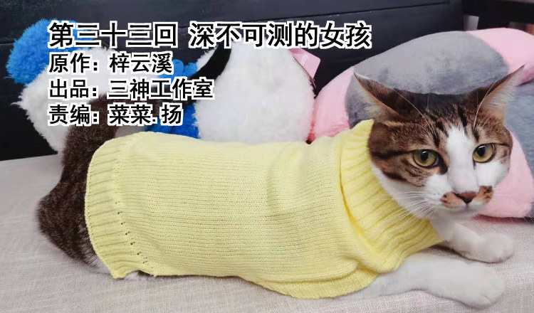 《我家太子妃超凶的》第三十三回 深不可测的女孩 第1页
