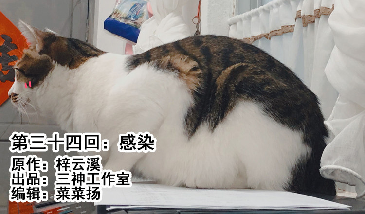 《我家太子妃超凶的》第三十四回 感染 第1页