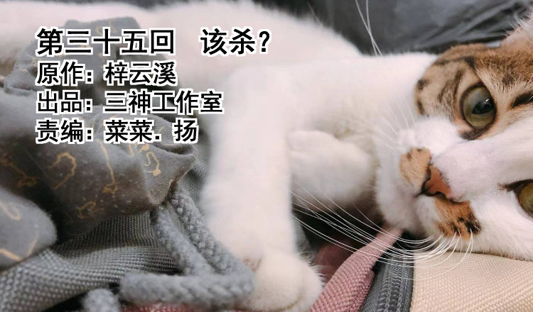 《我家太子妃超凶的》第三十五回 该杀？ 第1页