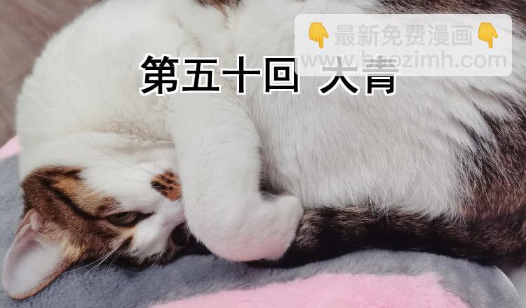 《我家太子妃超凶的》第五十回 大青 第2页