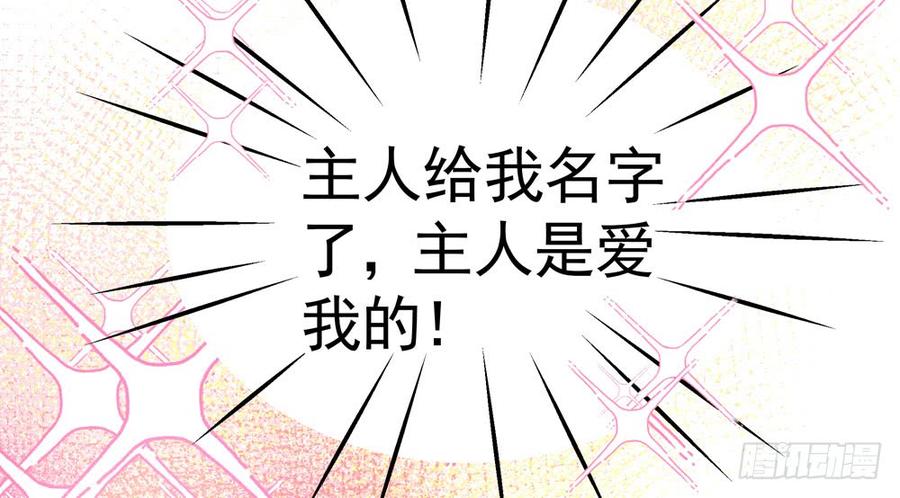 《我家太子妃超凶的》第五十回 大青 第47页