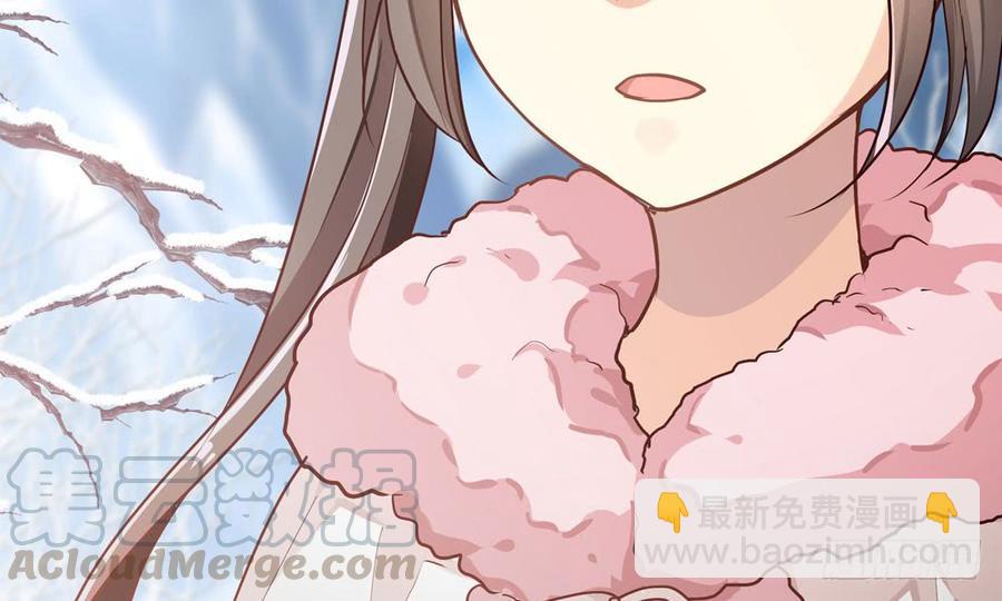 《我家太子妃超凶的》第五十二回 滴水归宗 第11页