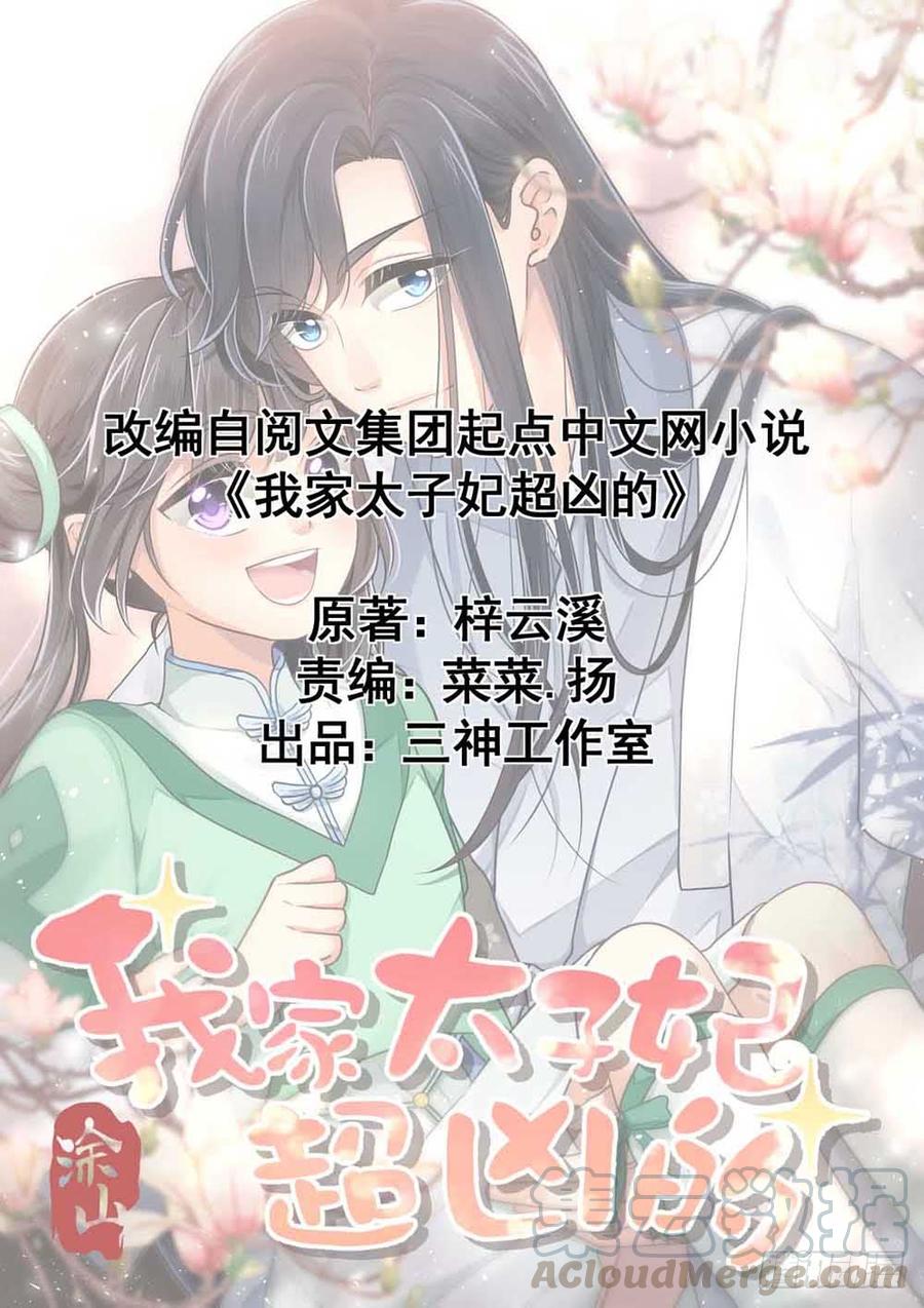 《我家太子妃超凶的》第五十二回 滴水归宗 第1页