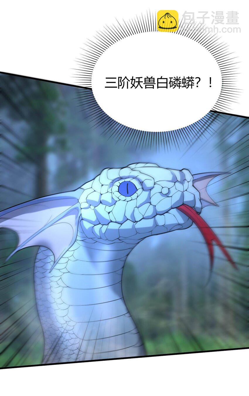 《开局觉醒吞噬系统》06 剑斩长虫！ 第6页