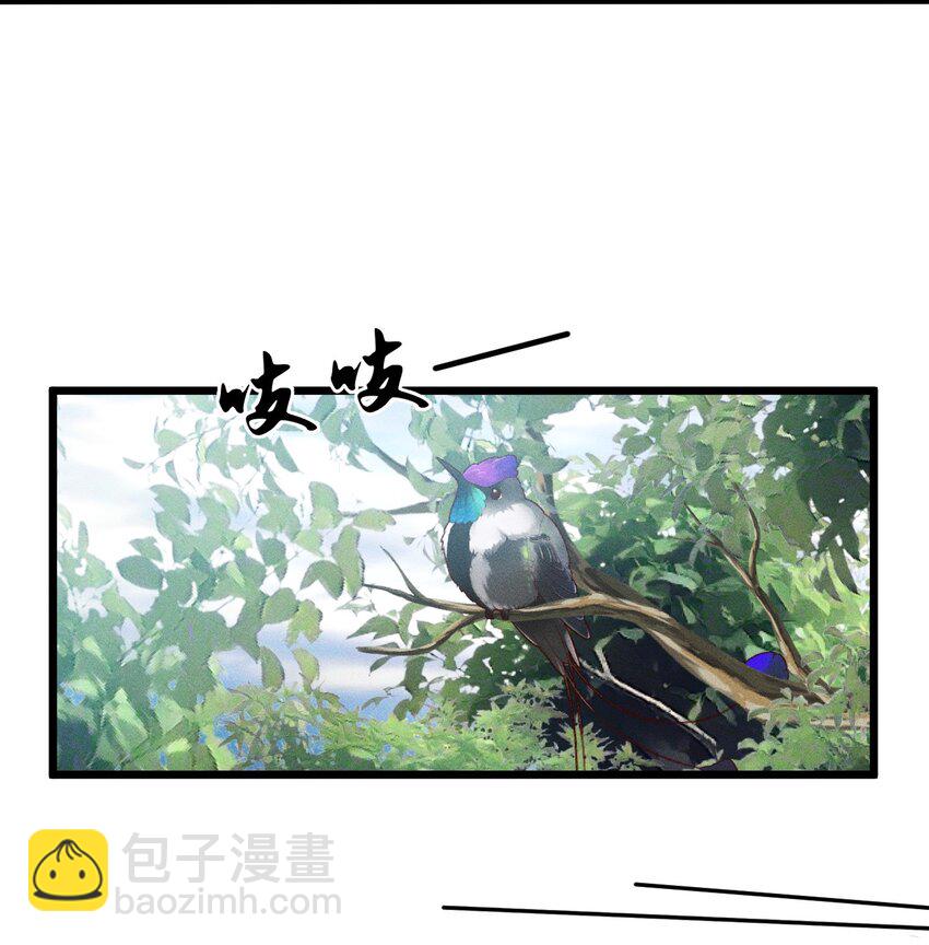 《开局觉醒吞噬系统》027 青青子衿 第4页
