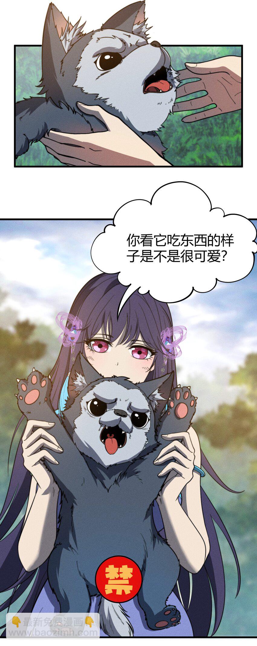 《开局觉醒吞噬系统》045 人生何处不相逢 第11页