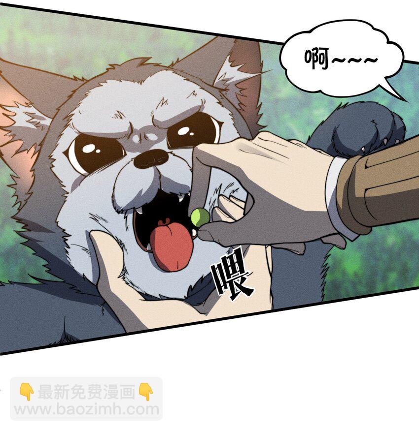 《开局觉醒吞噬系统》045 人生何处不相逢 第20页
