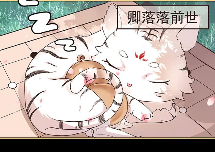 《魔君快到碗里来》跨界追夫 第45页