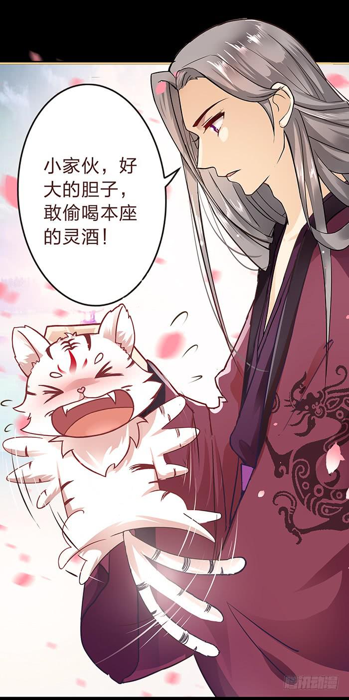 《魔君快到碗里来》跨界追夫 第48页