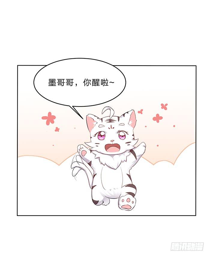 《魔君快到碗里来》你是妖？ 第11页