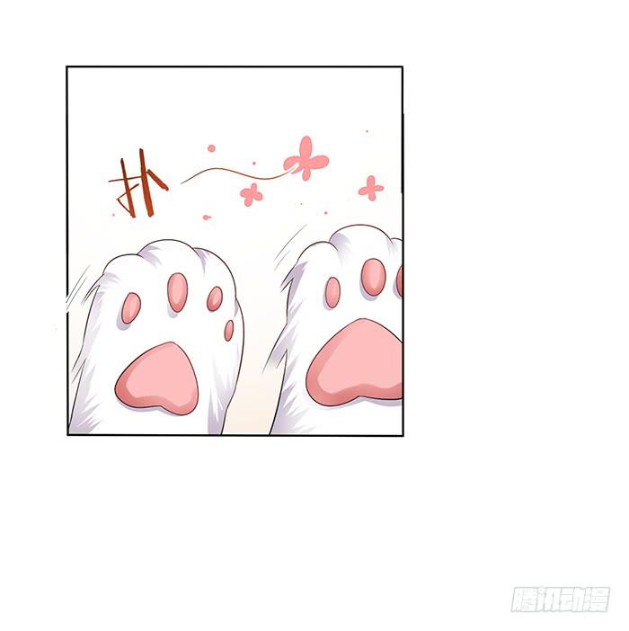 《魔君快到碗里来》你是妖？ 第13页