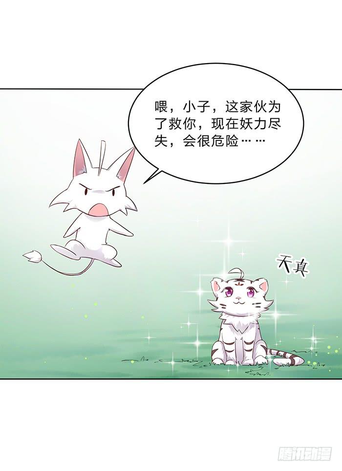 《魔君快到碗里来》你是妖？ 第34页
