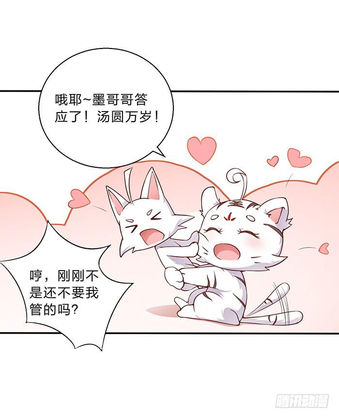 《魔君快到碗里来》你是妖？ 第42页