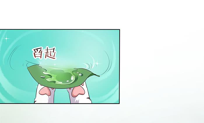 《魔君快到碗里来》你是妖？ 第4页