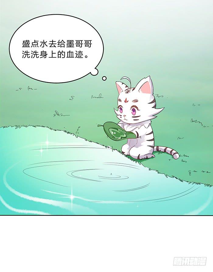 《魔君快到碗里来》你是妖？ 第5页