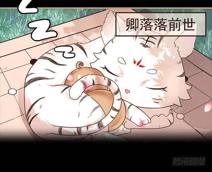 《魔君快到碗里来》预告君 第7页
