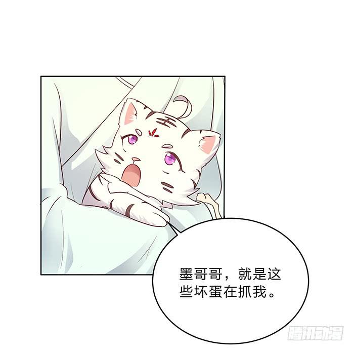 《魔君快到碗里来》王府乌龙 第12页