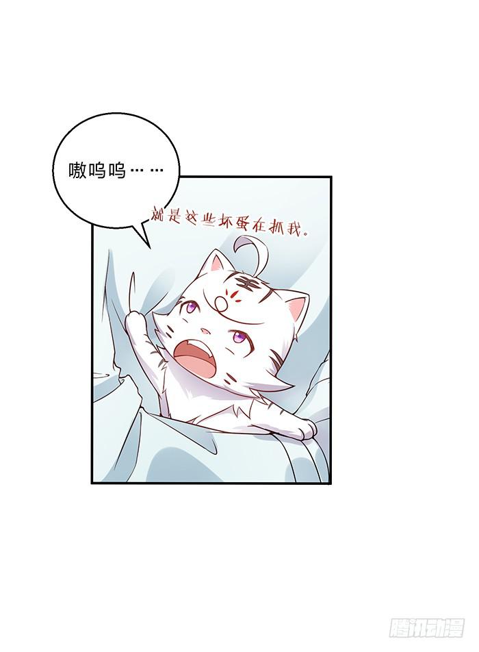《魔君快到碗里来》王府乌龙 第15页