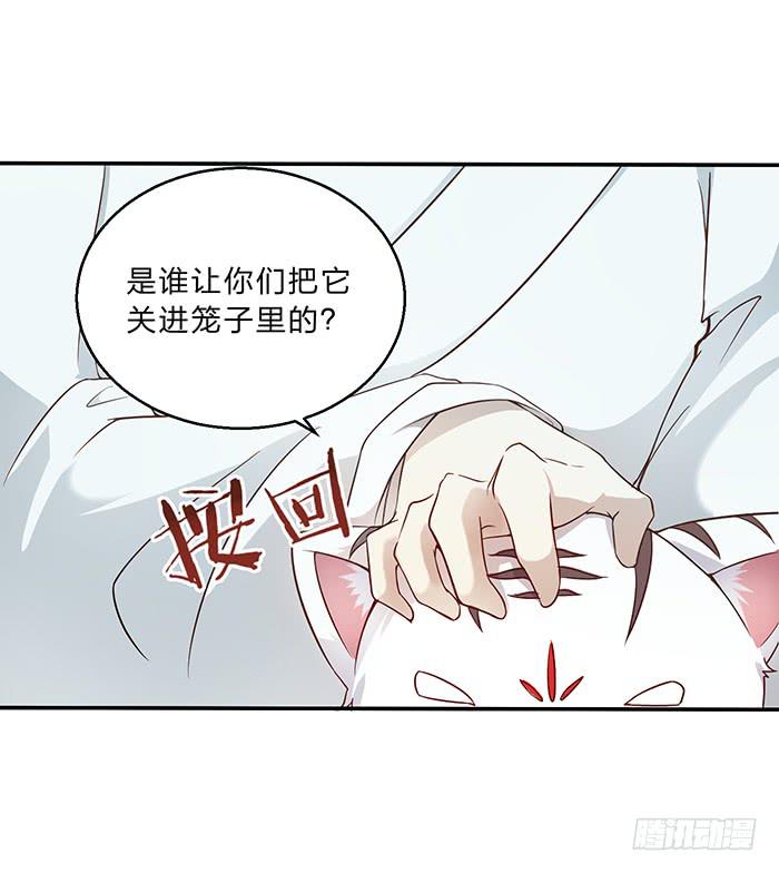 《魔君快到碗里来》王府乌龙 第17页