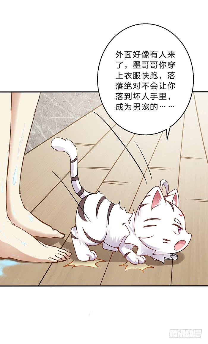 《魔君快到碗里来》王府乌龙 第5页