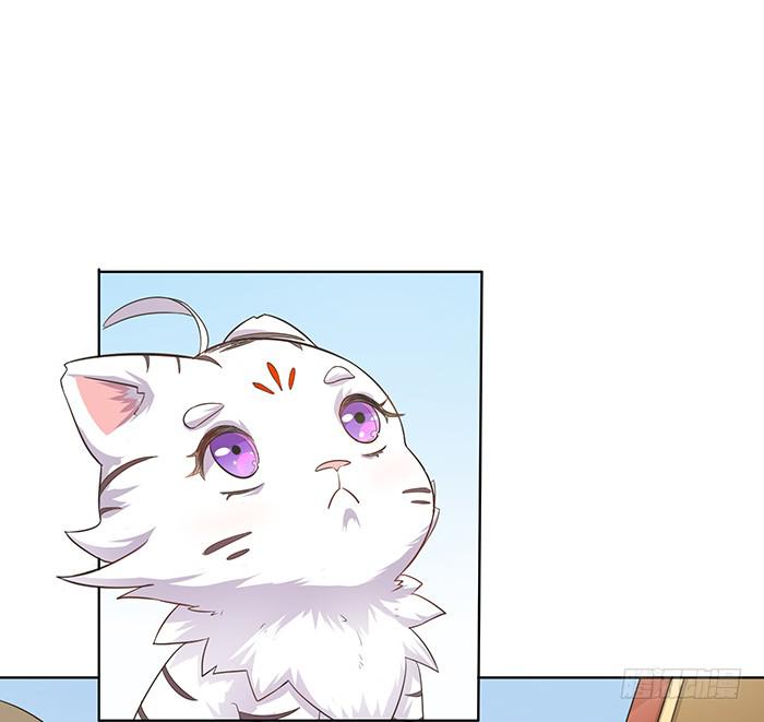 《魔君快到碗里来》小短腿 第12页