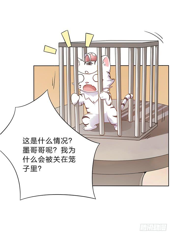 《魔君快到碗里来》买买买 第36页