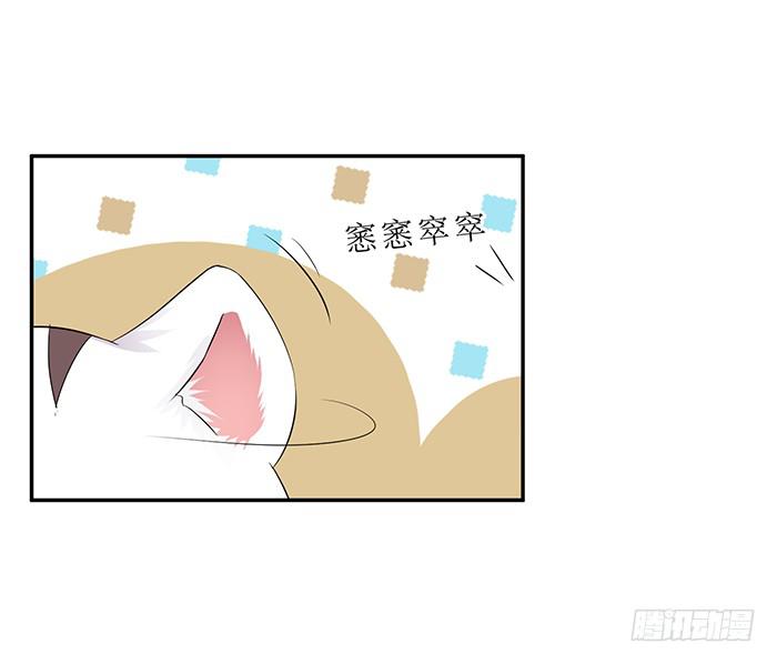 《魔君快到碗里来》买买买 第38页