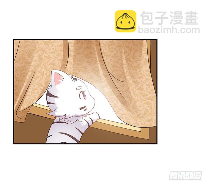《魔君快到碗里来》买买买 第5页