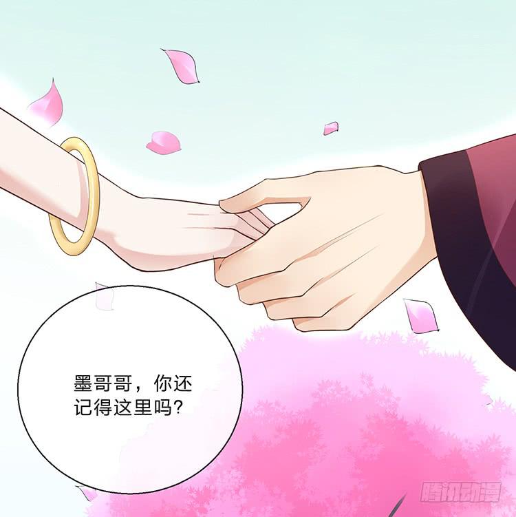 《魔君快到碗里来》记忆碎片 第6页