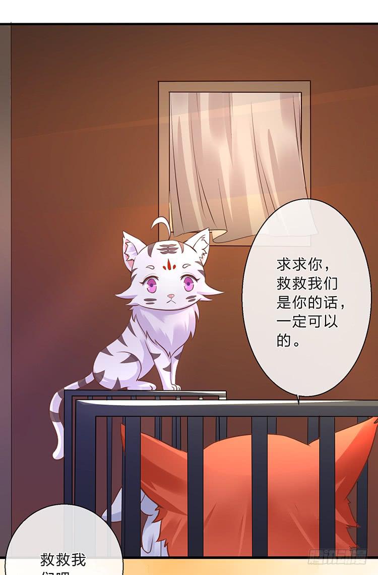《魔君快到碗里来》五公主 第33页