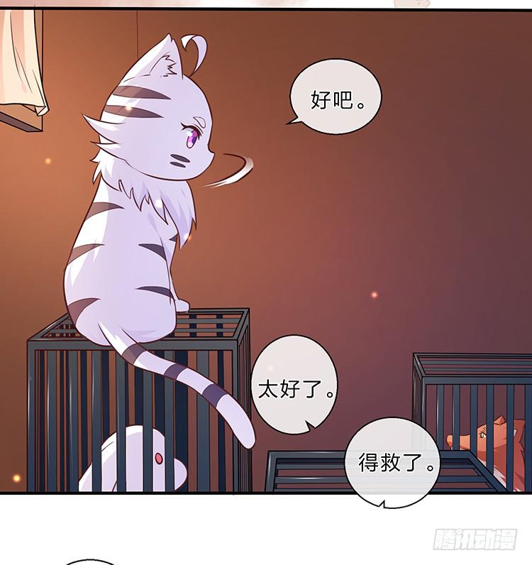 《魔君快到碗里来》五公主 第36页