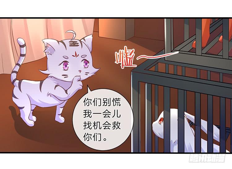 《魔君快到碗里来》五公主 第42页