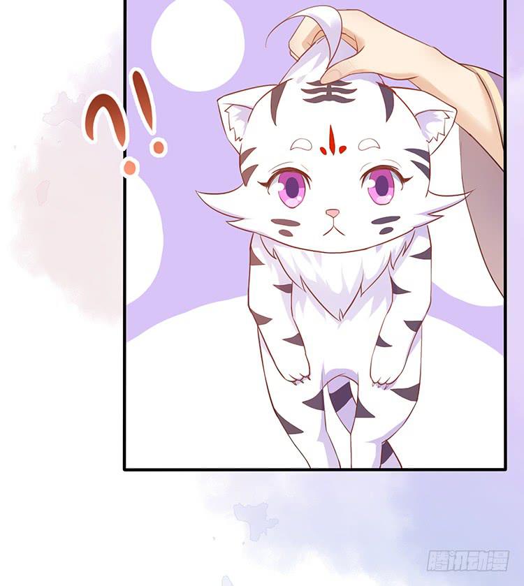 《魔君快到碗里来》误会，这都是误会 第33页