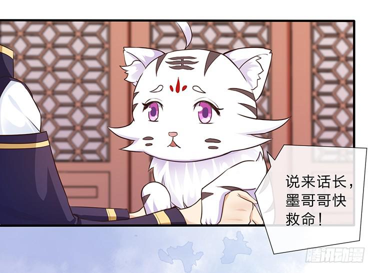《魔君快到碗里来》大闹寿宴 第13页