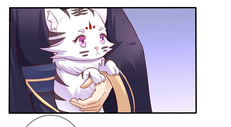 《魔君快到碗里来》大闹寿宴 第38页