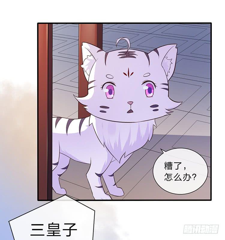 《魔君快到碗里来》大闹寿宴 第3页