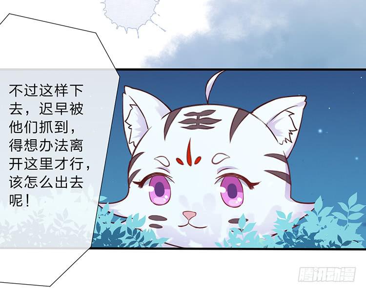《魔君快到碗里来》二哥回来了 第6页