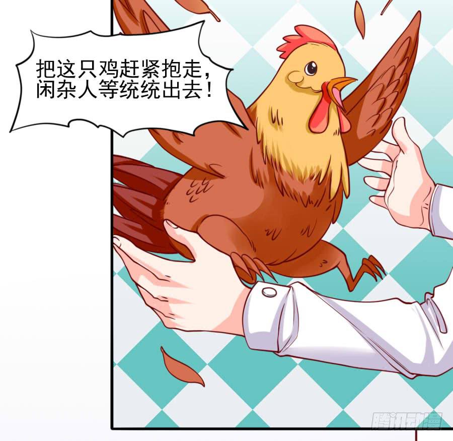 《下凡只为遇见你》原来它就是那个女孩 第47页