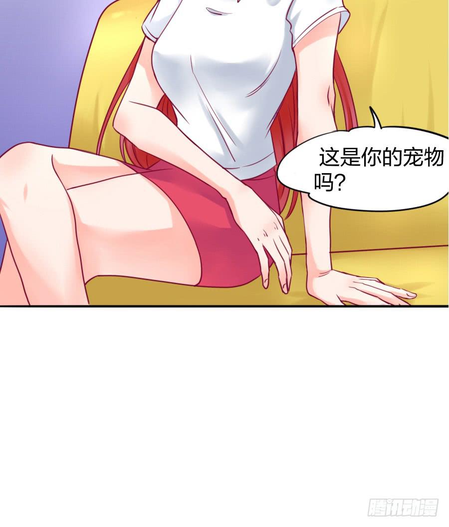 《下凡只为遇见你》咖啡屋的奇葩相亲 第27页