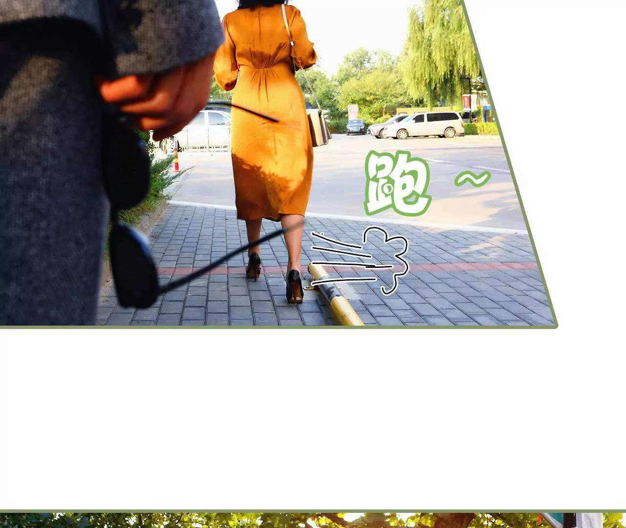 《霸总夫人超拽的！》第二话 半身不遂 第13页