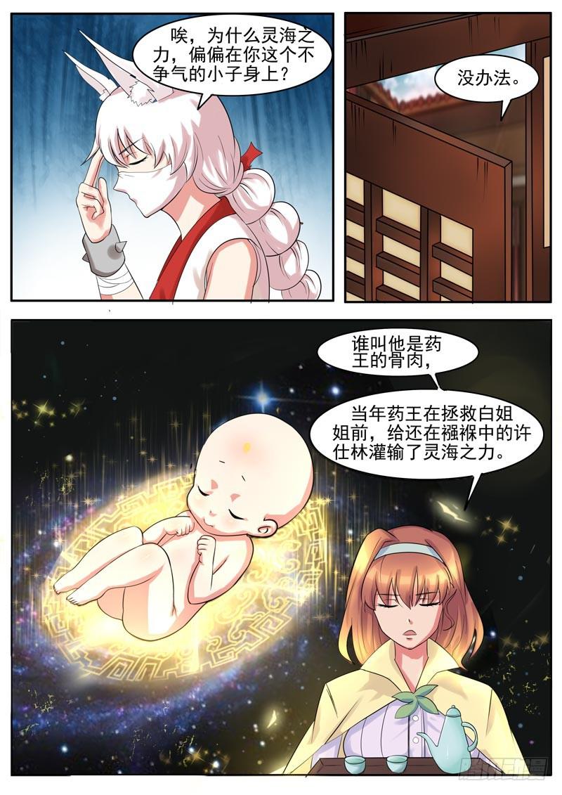 《文武仙云之仕林传》启发灵海之力！ 第13页