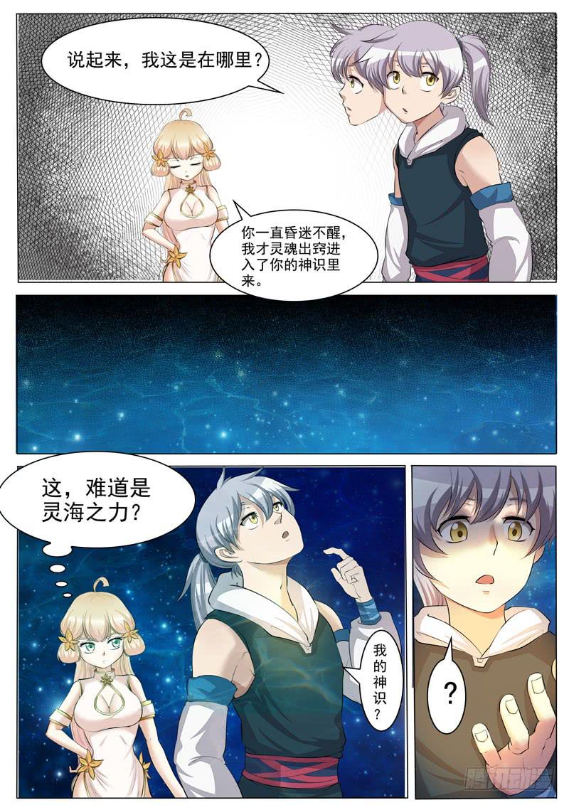 《文武仙云之仕林传》激发灵海之力 第9页